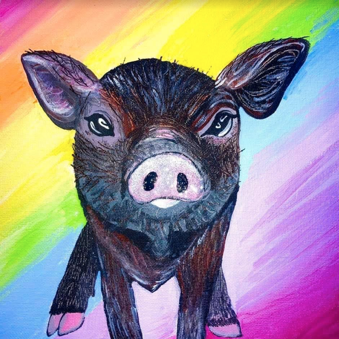 baby pig and rainbow