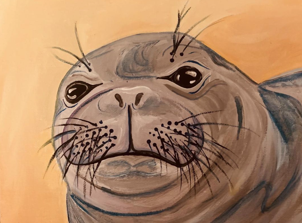 seal on tan background